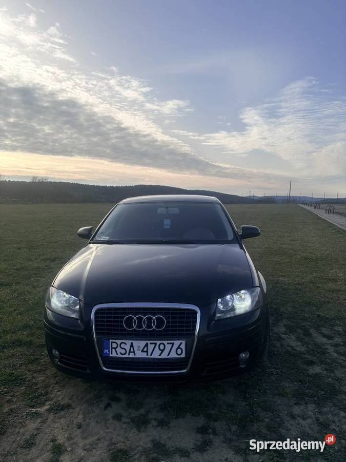 Audi A3 8P 20 TDI quattro Czystogarb