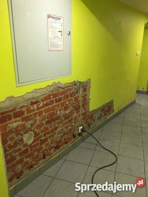 Osuszanie budynków z wilgoci i grzybu śląskie Bielsko-Biała