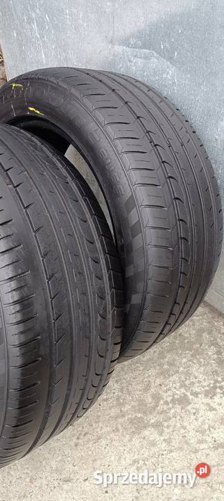 OPONA OPONY BLACK LION CHAMPOIN BU66 27545 ZR19