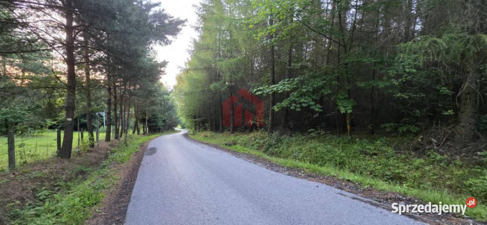 Sprzedaż działki 8500m2 Gogołów Sprzedaż