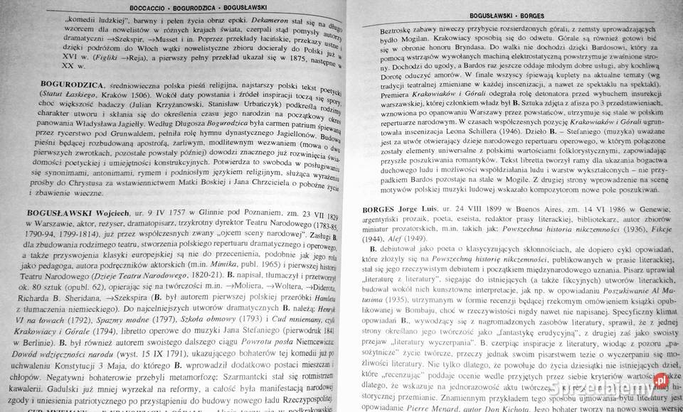 Leksykon lektur szkolnych Tomasz Miłkowski twarda Chełm