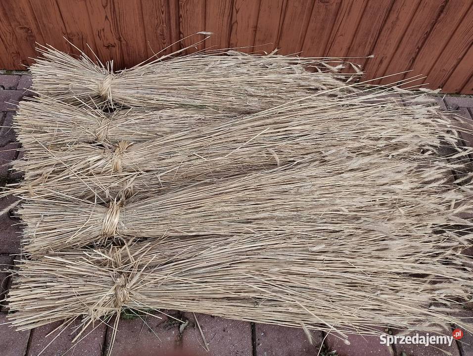 Słoma żytnia prosta Łopuszno