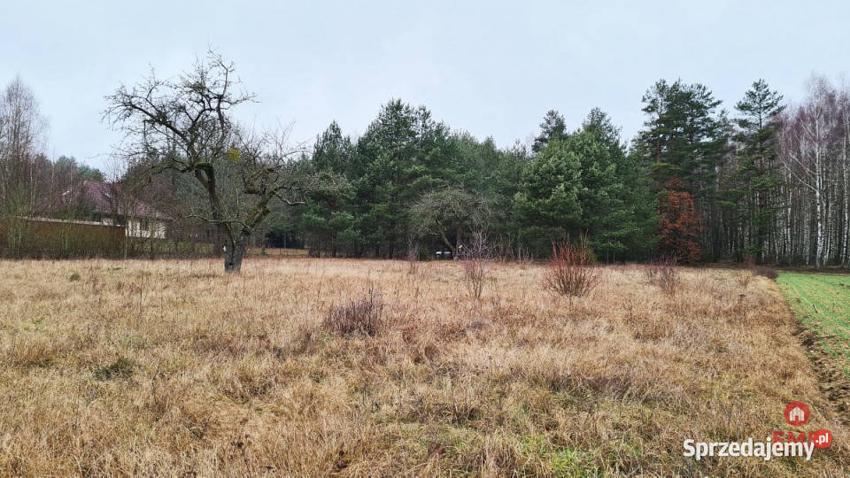 Grunt Pieńki 1743m2