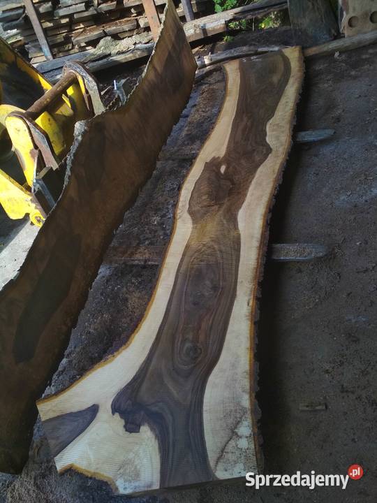 Tarcica orzech monolity WALNUT SLABS Izdebnik