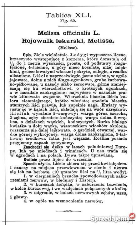 Ks SKNEIPP ZIELNIK Atlas roślin leczniczych Wyd medycyna, nauki medyczne Książki naukowe i popularnonaukowe Kozienice sprzedam