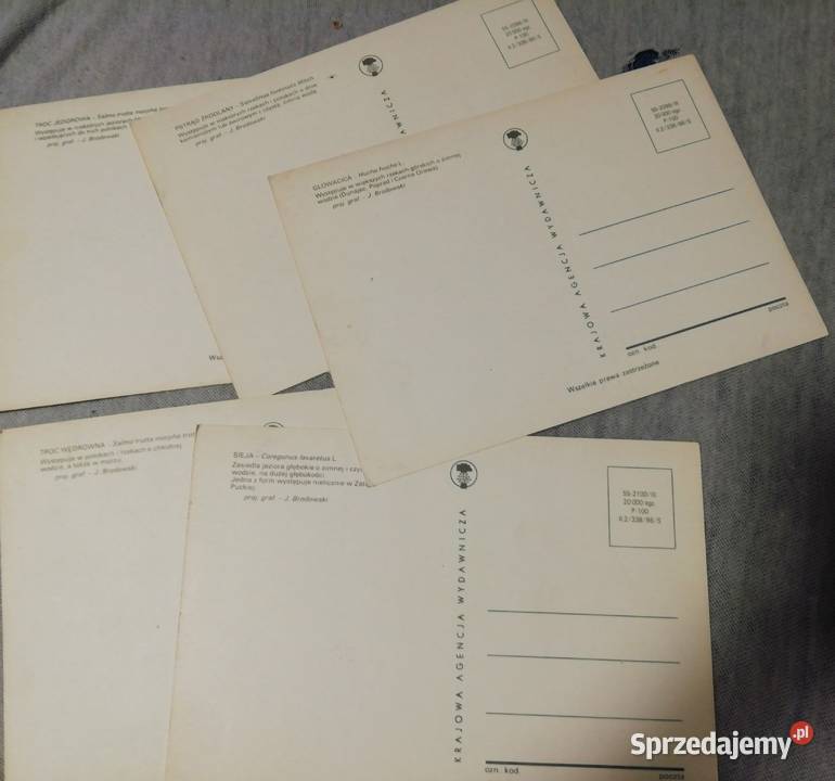 Ryby słodkowodne kartki małopolskie Kraków