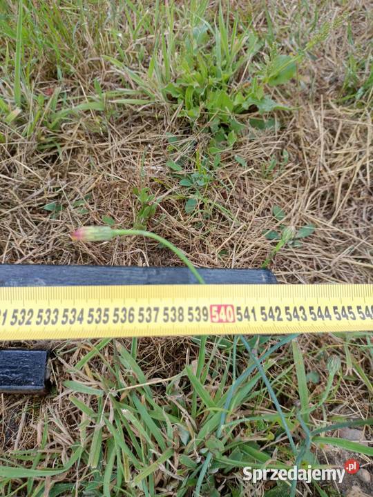 Konstrukcja Rama Stalowa panele fotowoltaiczne Rzeszów sprzedam