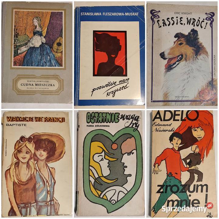 książki młodzieży Proza i poezja Bukowno