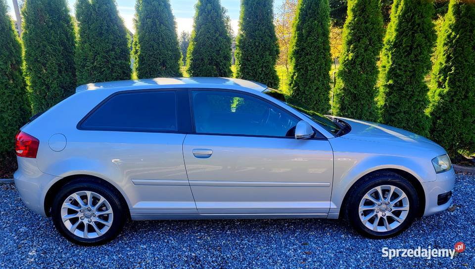 Audi A3 Lift CLIMATRONIC Xenon Alu Podgrzewane Hatchback Kraków