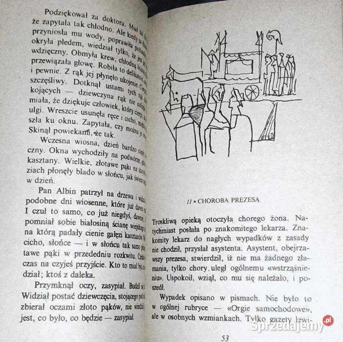 Miłość i rzeczy poważne Powieść Jerzy Szaniawski Chełm