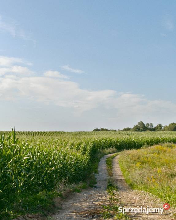 Działka jeziorem z linią brzegową i bezterminową rolna Trąbin-Rumunki