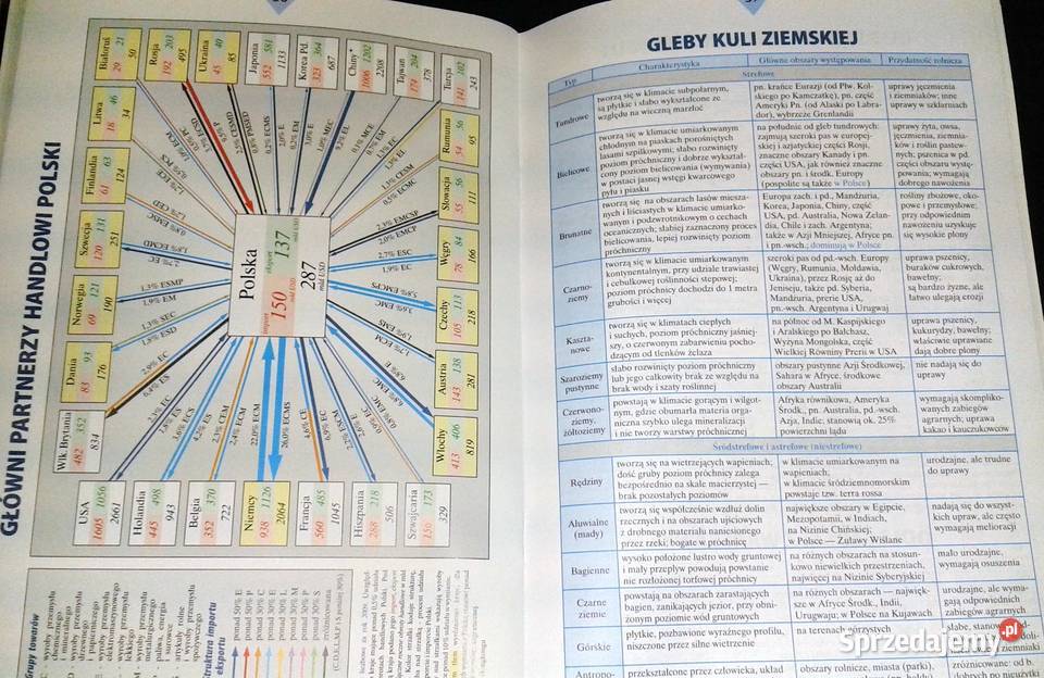Małe tablice geografia Witold Mizerski J Chełm