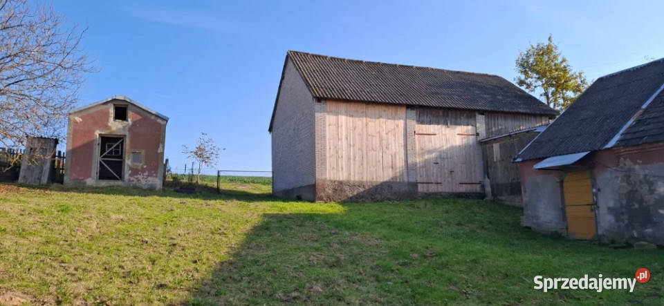 DZIAŁKI NA SPRZEDAŻ rolna Czyżów sprzedam