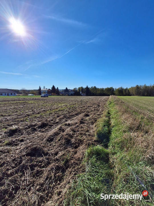 Sprzedam działka Żabia Wola 1003m2