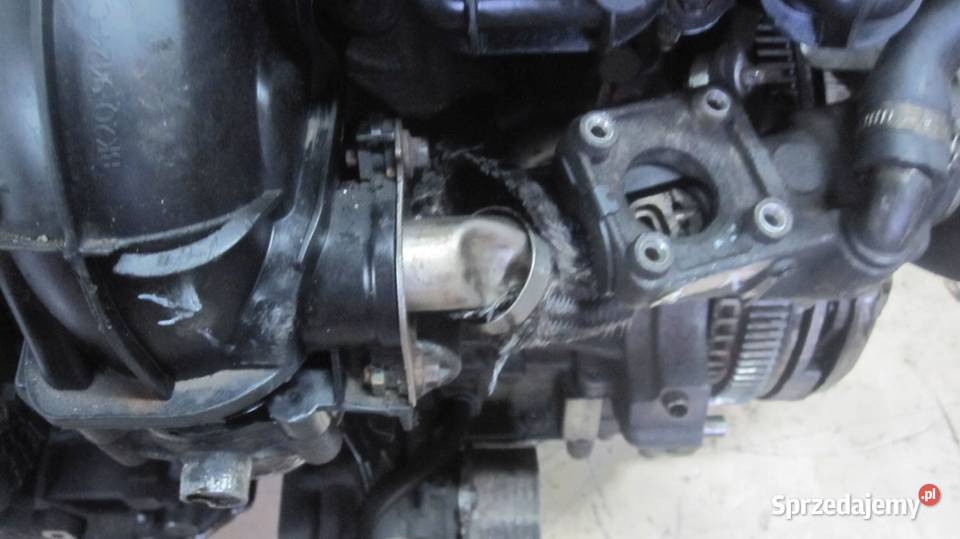 TRANSIT 22 TDCI EURO 5 DRFB DRFA FWD 100 168 Rok produkcji 2012 świętokrzyskie Kielce