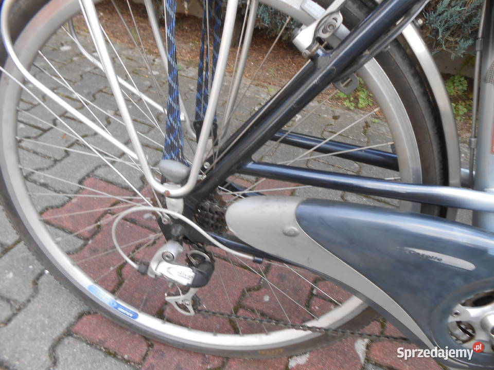 Rower holenderski Gazelle wielkopolskie Baranów