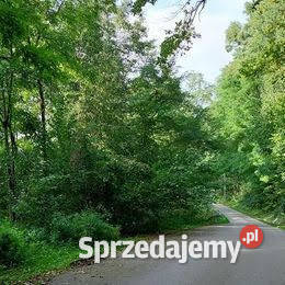 Działka inwestycyjna ze starym młynem Kęty sprzedam