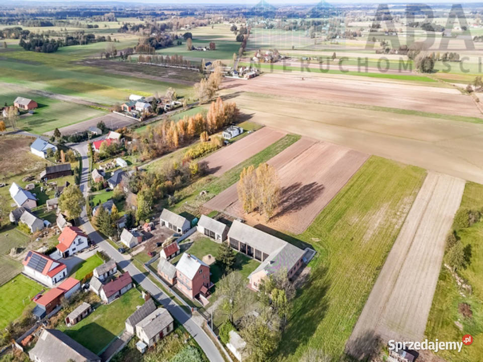 Siedlisko z budynkiem mieszkalnym Skotniki wolnostojący wielkopolskie sprzedam