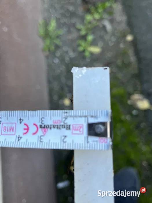 Płyta poliamid PA6 ertalon tarnamid biały 900mm