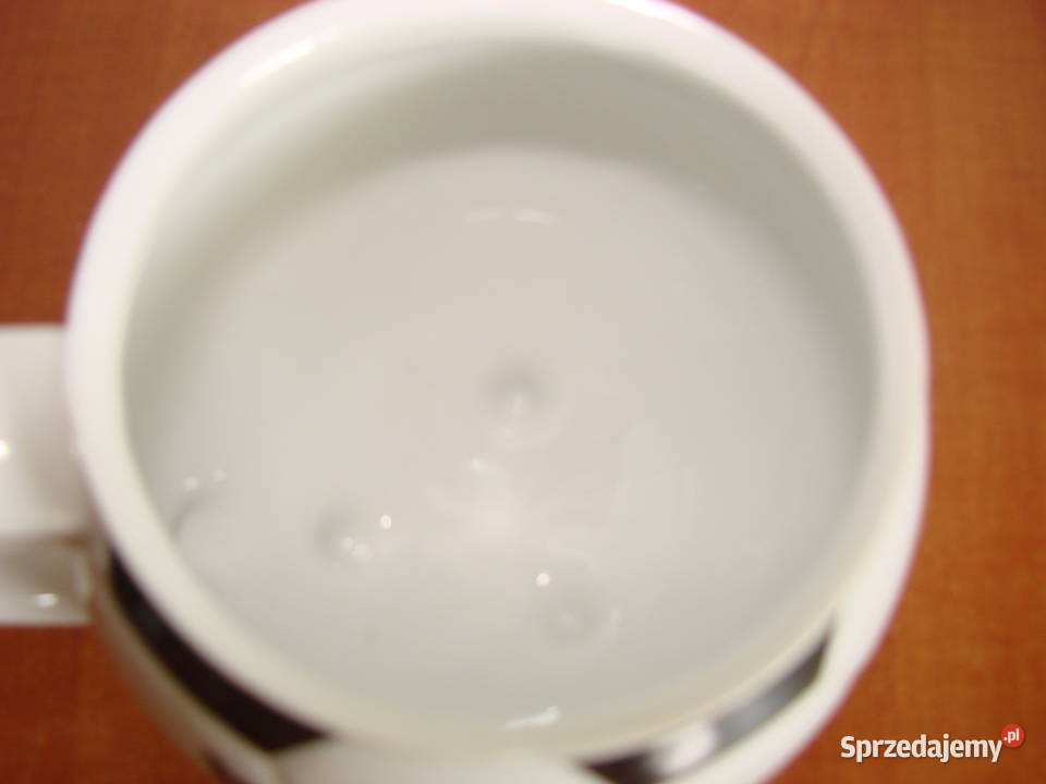 Deutscher FussballBund kubek kolekcjonerski Antyki, Sztuka, Kolekcje pomorskie Pruszcz Gdański