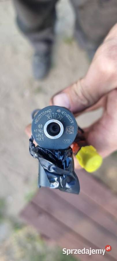 Wtryskiwacze Nissan Renault Opel 22dci Wtryskiwacze kujawsko-pomorskie Bydgoszcz