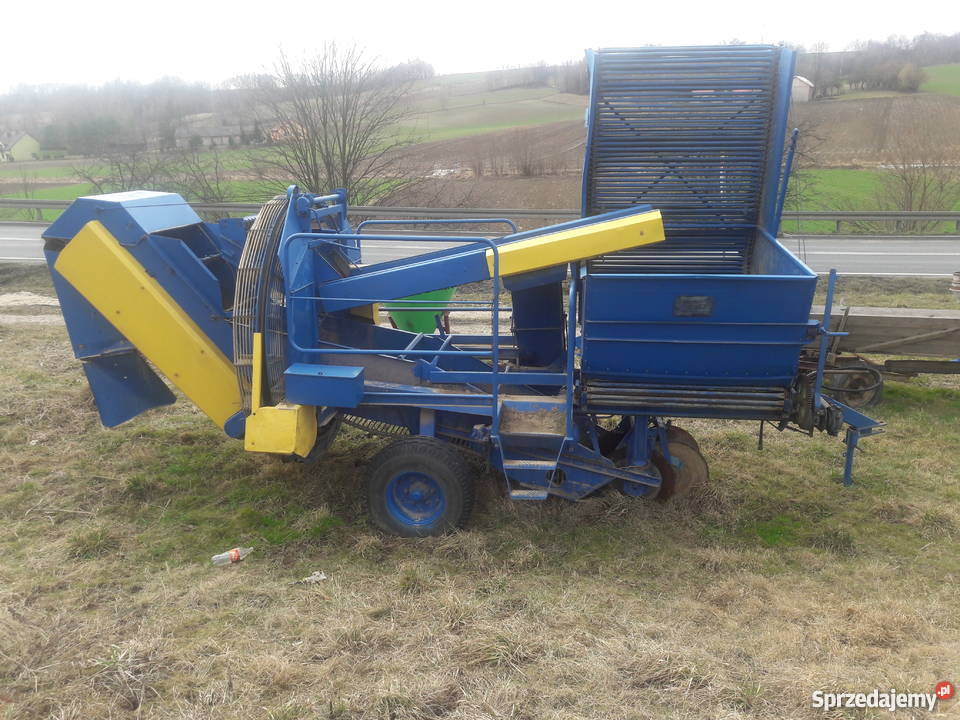 Anna z 644 małopolskie