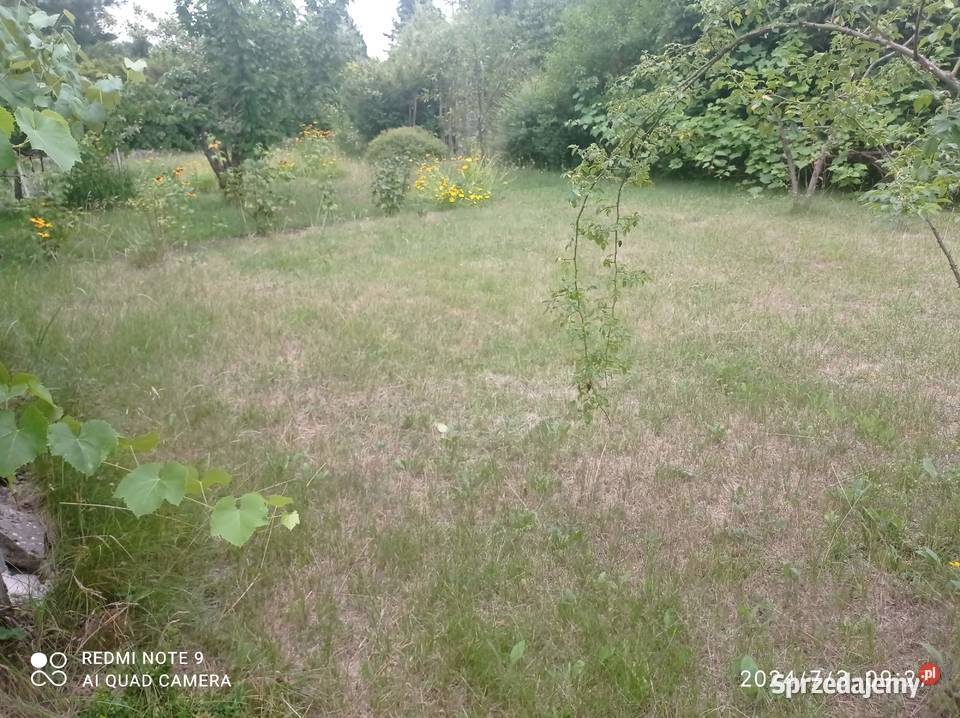 Działka Przylaszczka Łódź Okazja 20m Sprzedaż