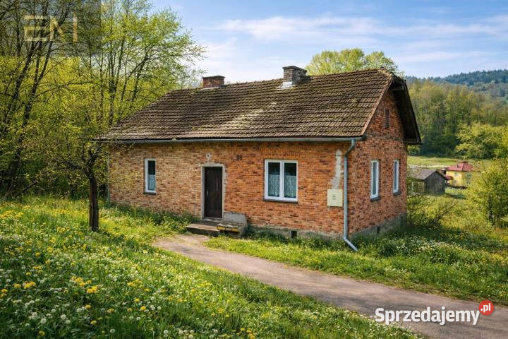 sprzedaży domu wolnostojącego Niepla 90m2 1165m2 sprzedam