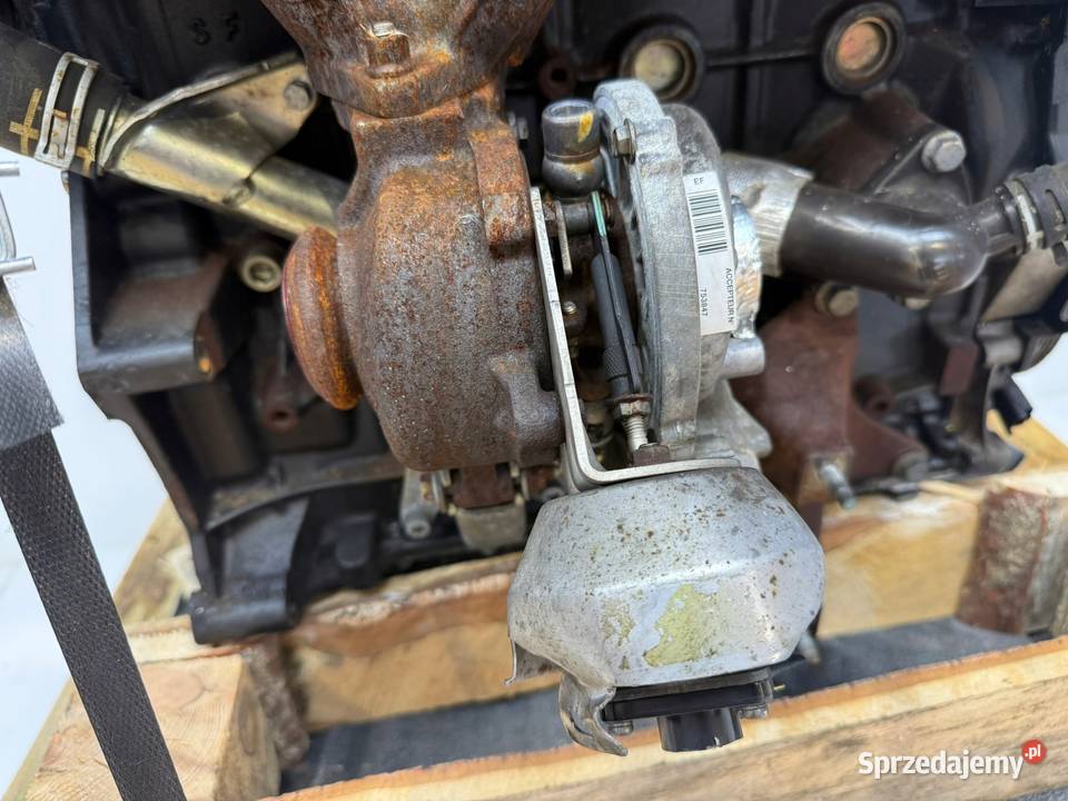 SILNIK G6DA Ford C C 20 TDCI 136 G6DB G6DD G6DG osobowe Chełm