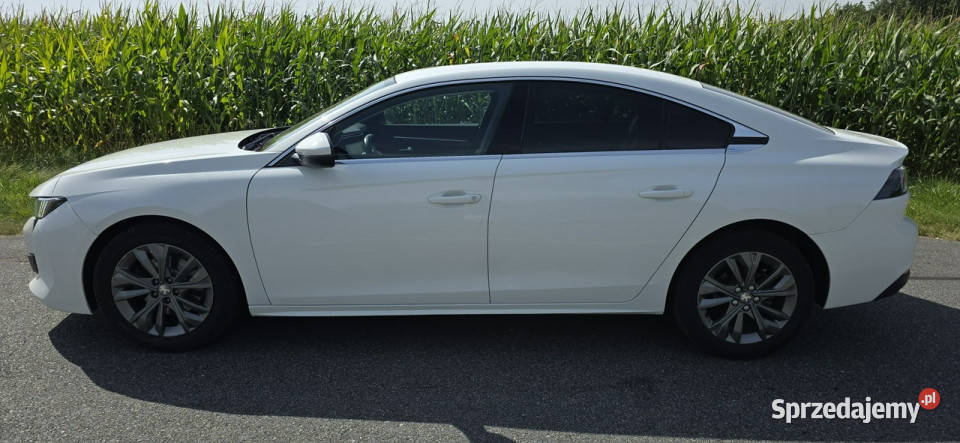 Peugeot 508 15 Hdi 33000 II 2018 przyciemniane szyby