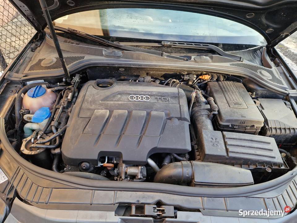 audi a3 Rydułtowy