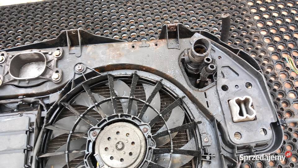 AUDI A6 C6 20 TDI PAS PRZEDNI KOMPLET AUTOMAT osobowe wielkopolskie Zbierkowo