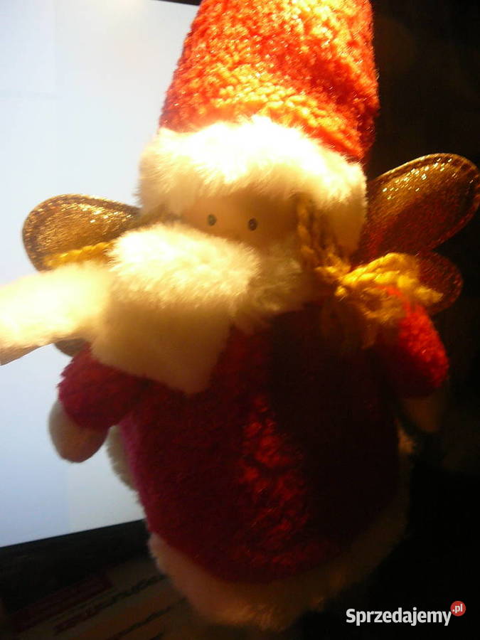 Aniołek Nowy 35 Belgia Wrocław