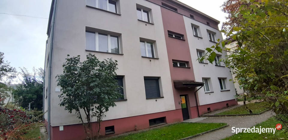 2pokojowepiwnicastrych