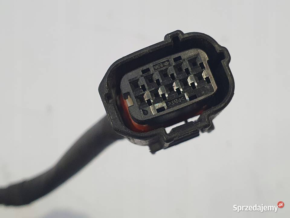 MODUŁ IMMO PRZEKAŹNIK STEROWNIK Triumph Street