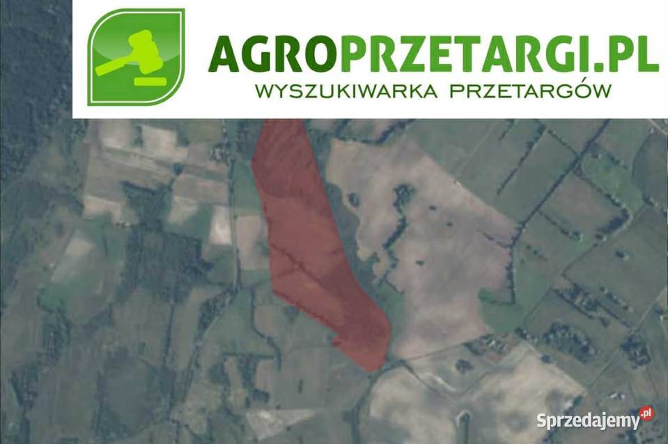 Dzierżawa 7344 ha gruntu rolnego Chełm sprzedam