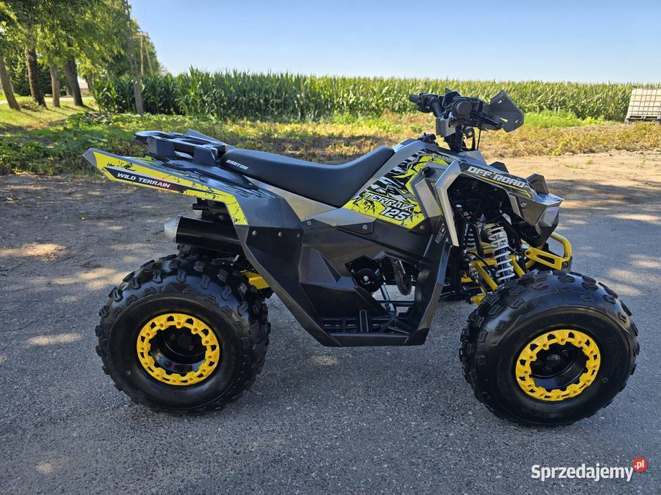 Quad Barton Terrax 125cc 2025r Duża Rama Koła 8 kujawsko-pomorskie Kruszwica