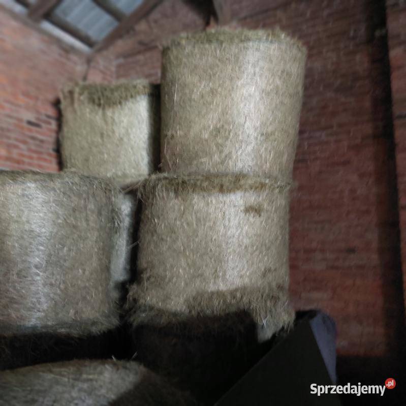 Siano i sianokiszonka