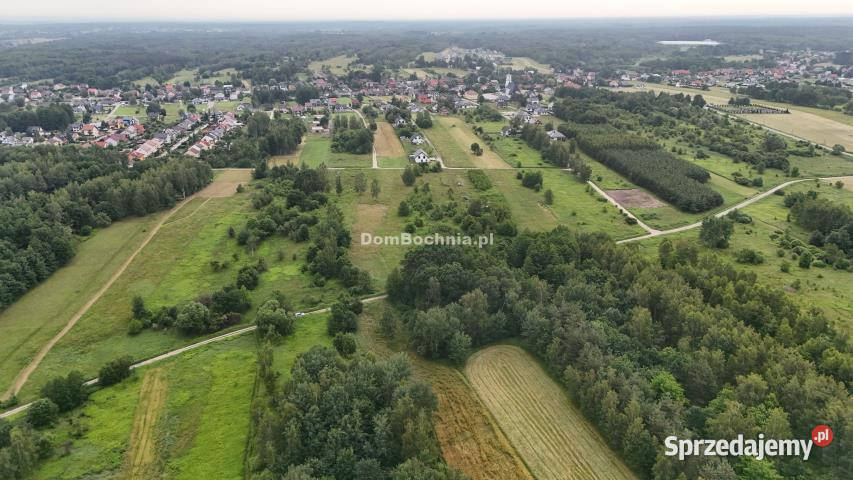 Grunt 5141m2 Borek Nieruchomości