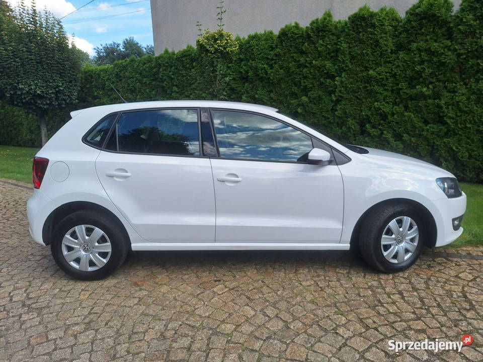 Volkswagen Polo Polo Cool Trendline V 20092017 Siewierz