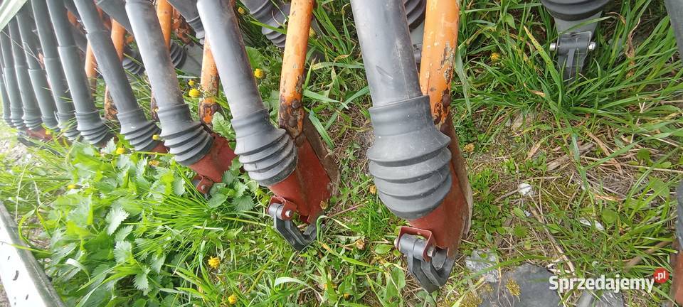 Siewnik zbożowy amazone d8 special Amazone łódzkie Skierniewice