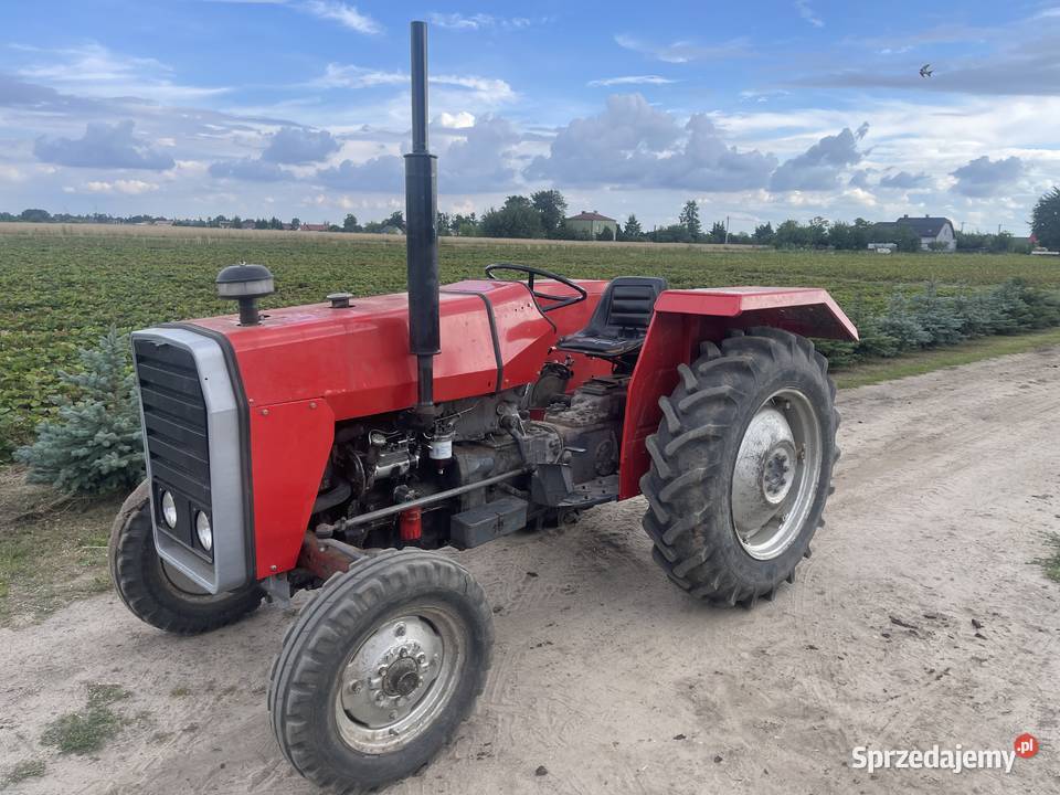Sprzedam ciągnik Massey Ferguson 245 Gąbin