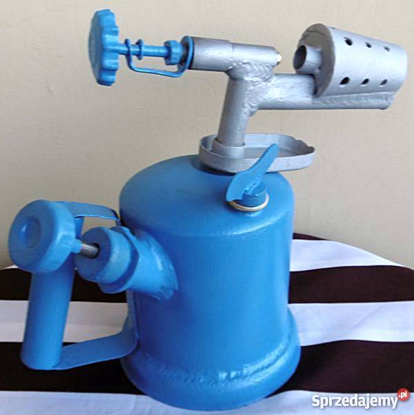 Lutlampa niebieska odnowieniu