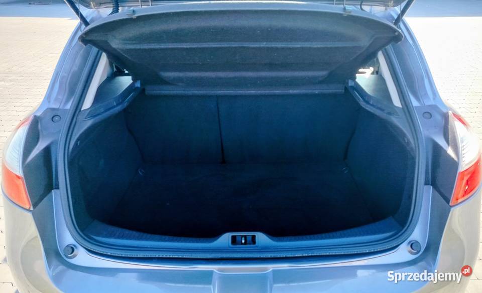 Renault Megane 16 benzyna Lgota Wielka