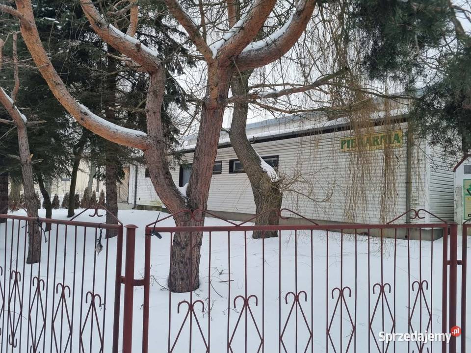 Lokal użytkowy wynajem Serniki