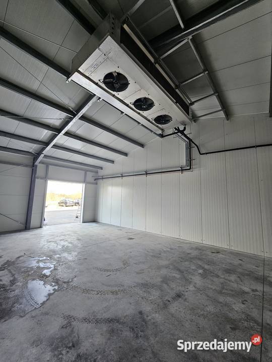 owoce warzywa Warszawa sprzedam