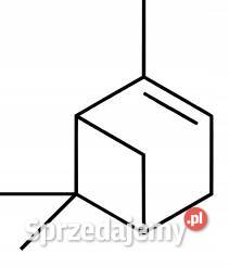 betapinen Pinene Sosna Zapach Leśny Drzewny Pozostałe Łódź