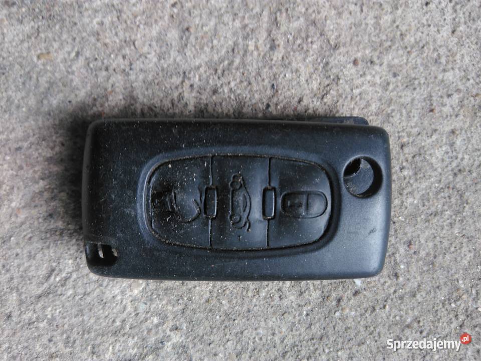 bmw pilot do kluczyka rybki lubelskie Łuków sprzedam