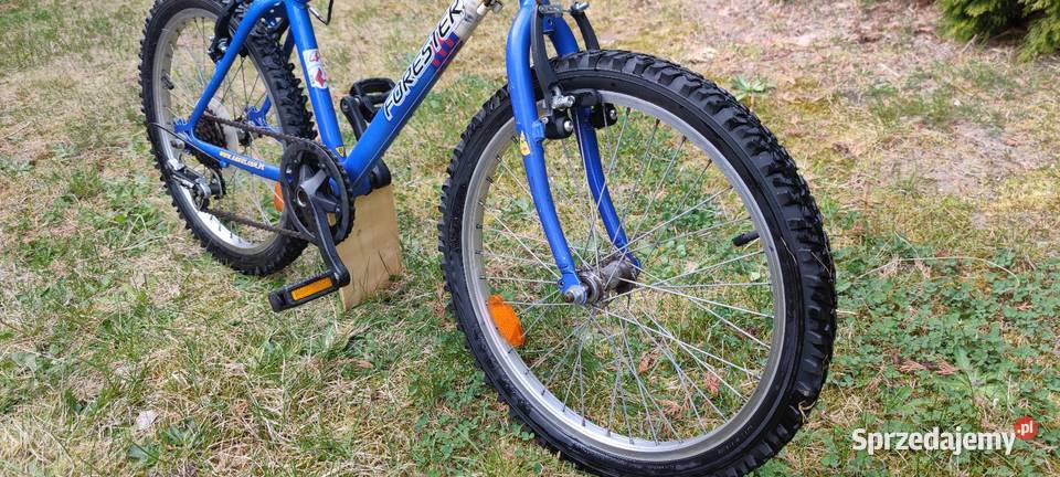 Rower dziecięcy 20 przerzutki zadbany serwis Dziecięce Wilczyn