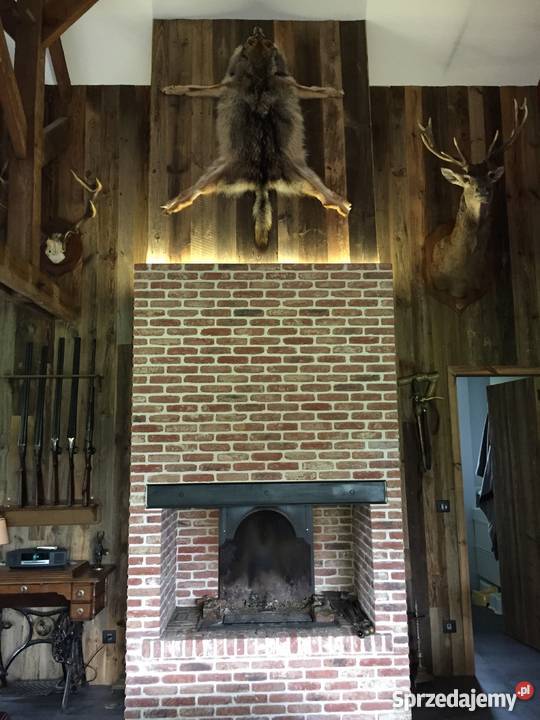 Ściany inne niż wszystkiestara drewno odcienie brązowego Warszawa